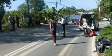 Doktor perubatan bermotosikal maut bertembung kenderaan